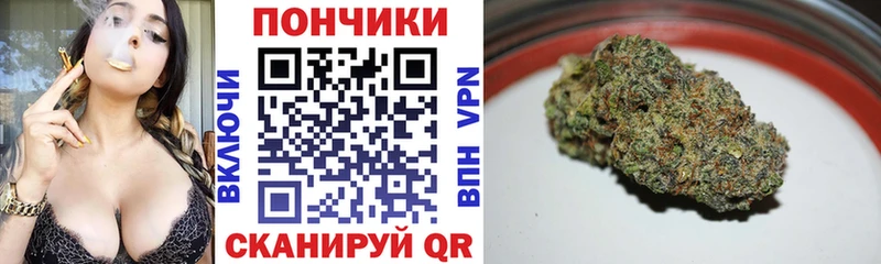 Каннабис ГИДРОПОН  Уссурийск 